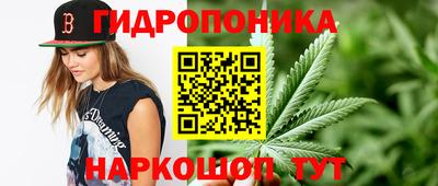 PSILOCYBIN Балахна