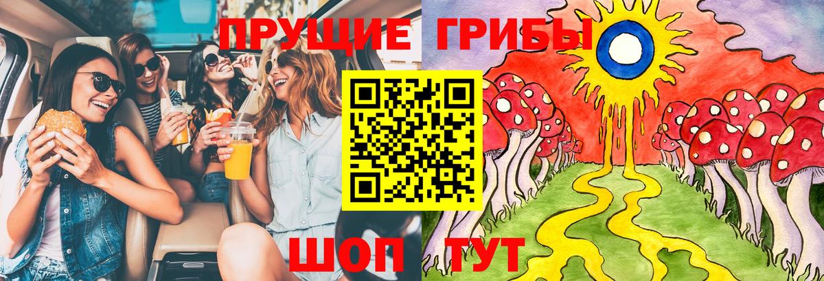 Галлюциногенные грибы Psilocybe  Вход с VPN  как найти закладки  Гагарин 